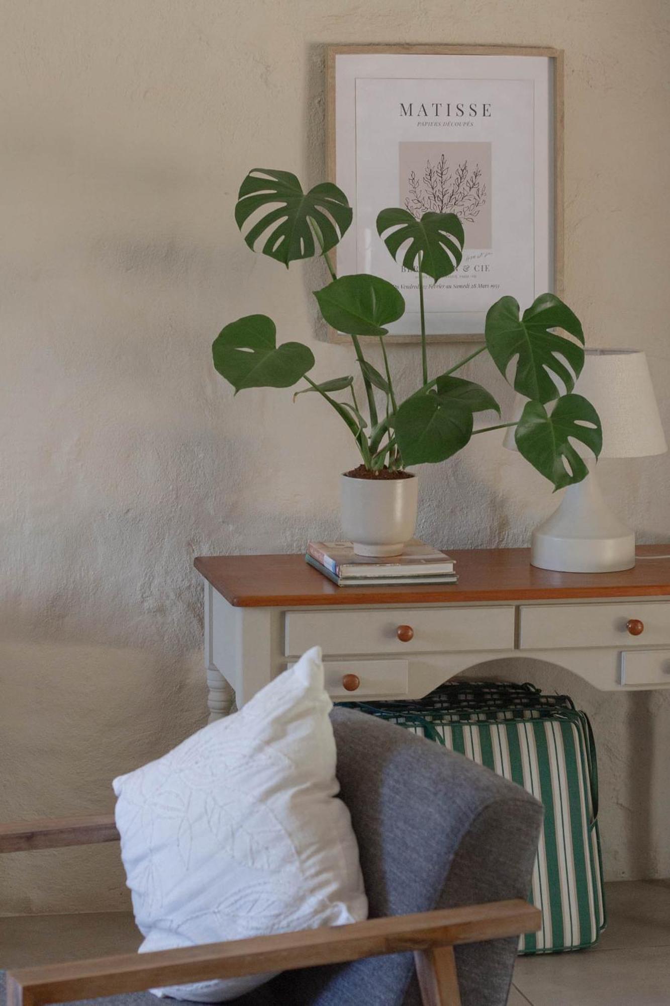 Three Streams Cottage Franschhoek Luaran gambar